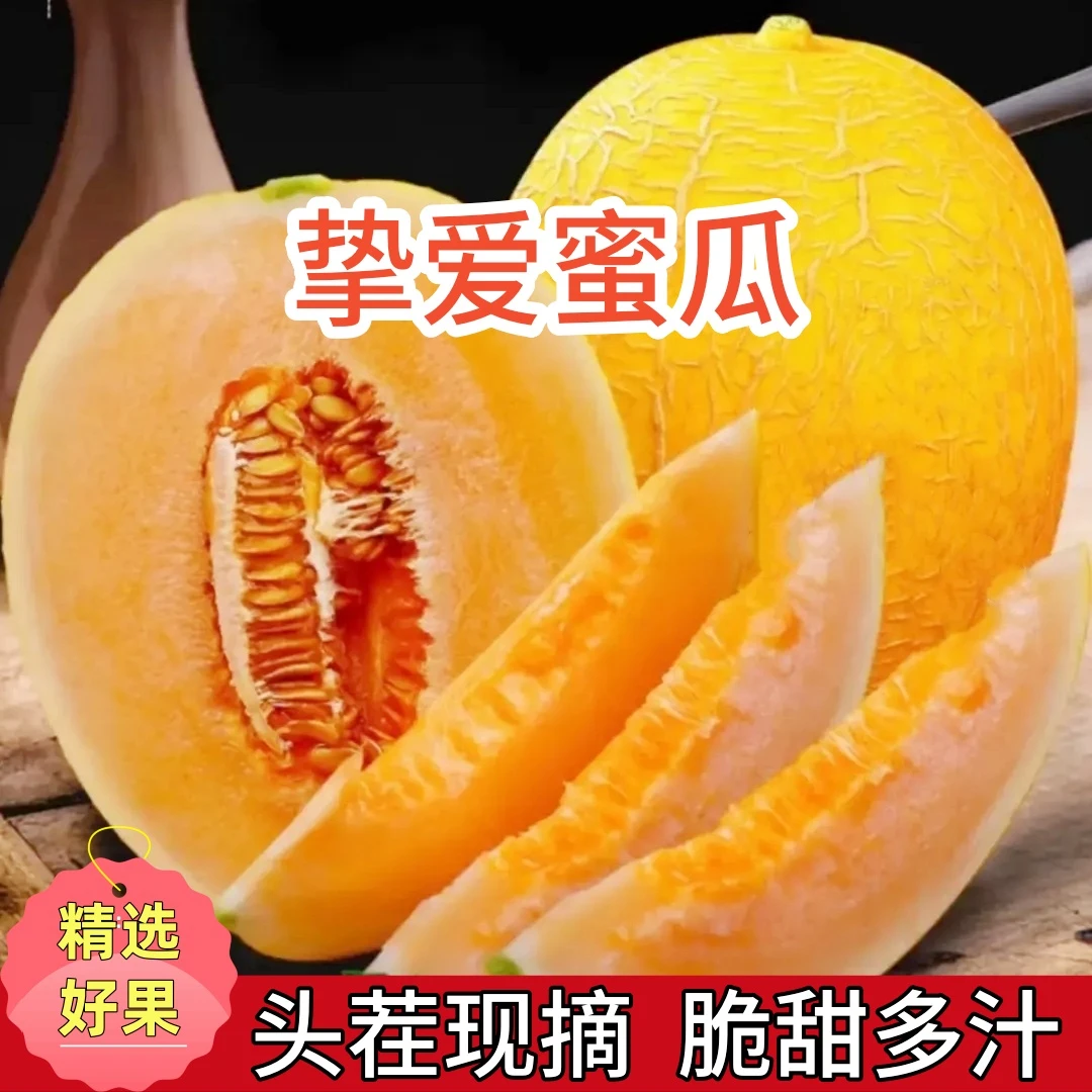 【不甜包赔】山东头茬挚爱蜜瓜网纹哈密瓜脆甜多汁新鲜当季水果