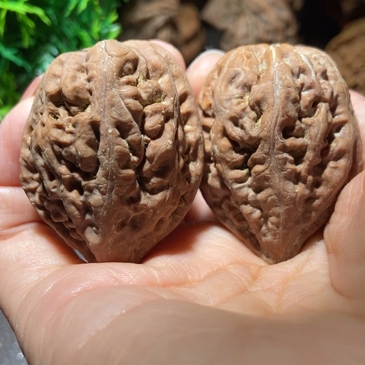 把件文玩核桃东北楸子小雪53