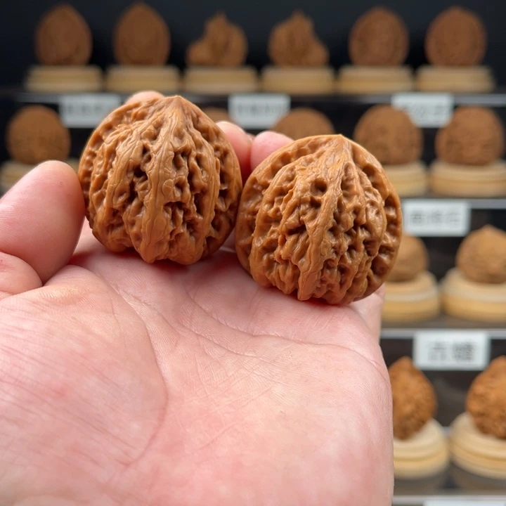 麻核桃平谷九龙39加尺寸