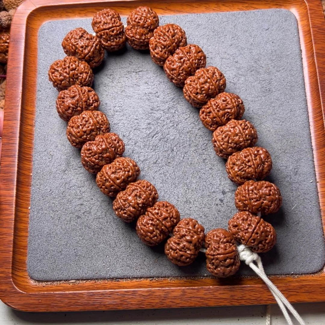 菩提19号金刚菩提矮桩原生态六瓣手持24