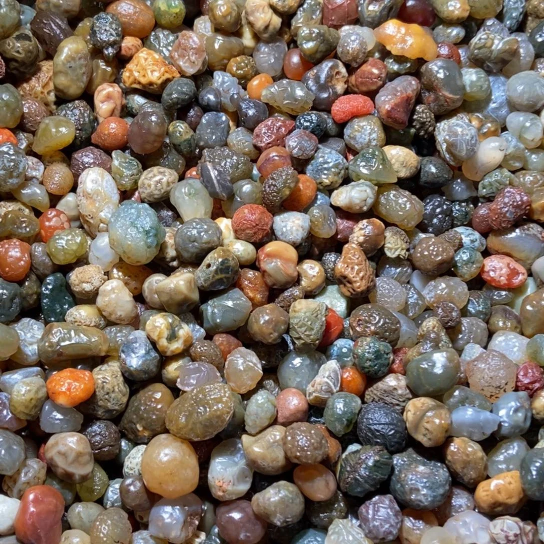 孙***生阿拉善筋脉石的哟哟哟