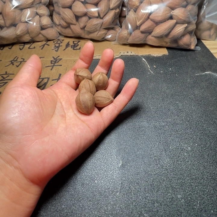 挚***生猪牙手串/手链我是
