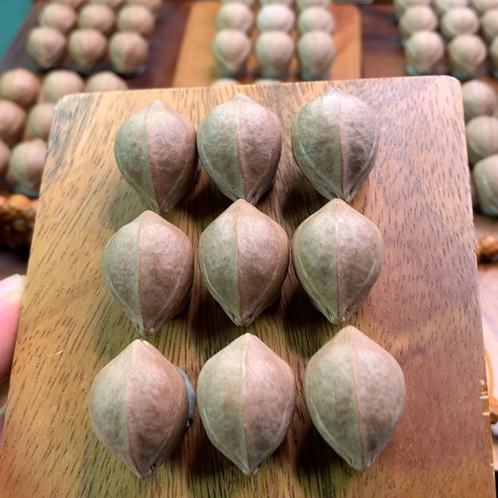 手串/手链橄榄核毕****易橄榄核雕，铁核