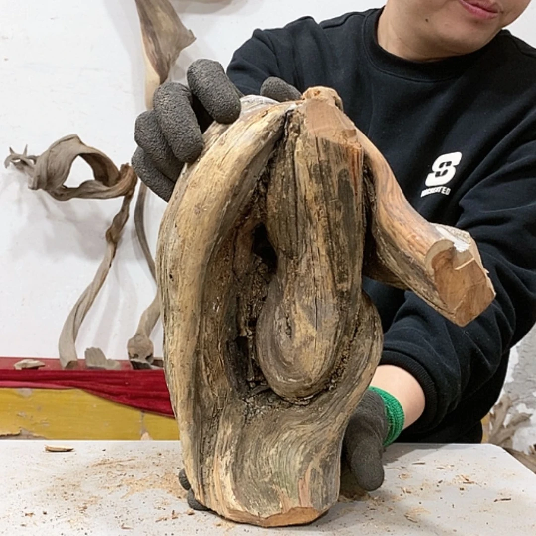 【闪购商品】柏木大***~我们都是好孩子