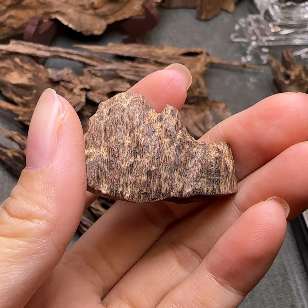 银***徐海南沉水鸡母虫漏料