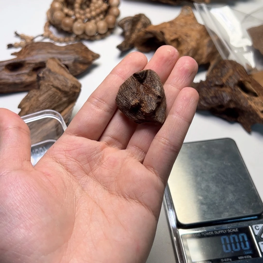 木：【加雅布拉】沉水壳料2克