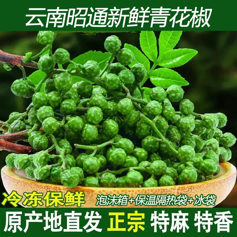 云南昭通新鲜青花椒饱满清香纯正真空保鲜生麻椒藤椒冰袋泡沫箱