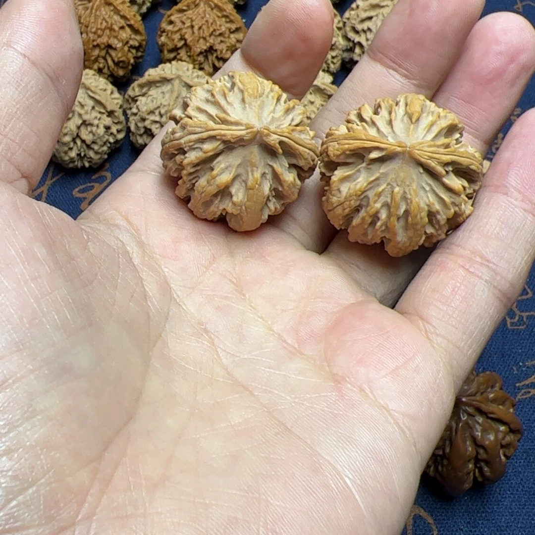 文玩核桃把件秦岭野生动灯笼核桃