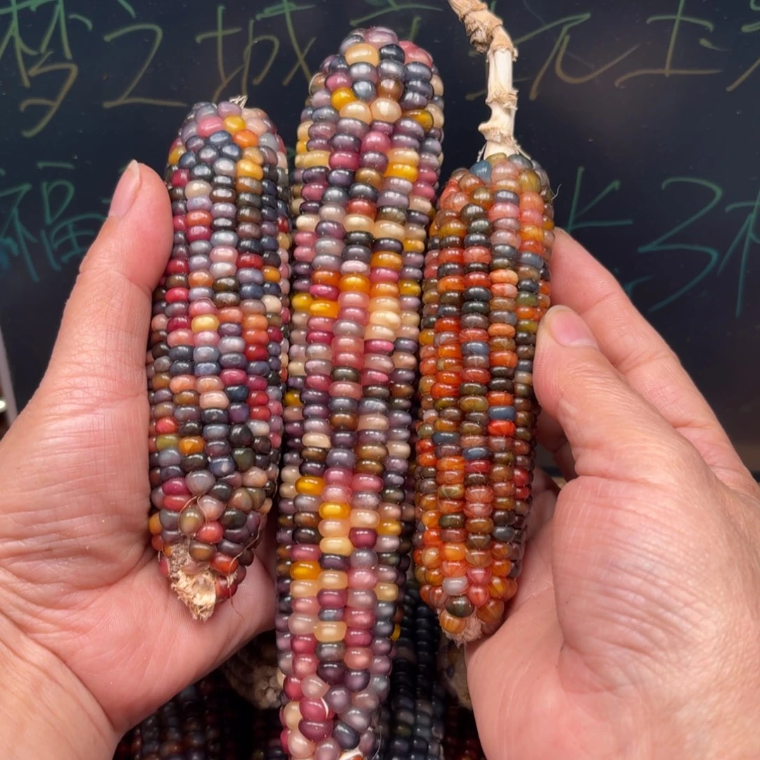 柏香籽/百香籽吊坠g****绿