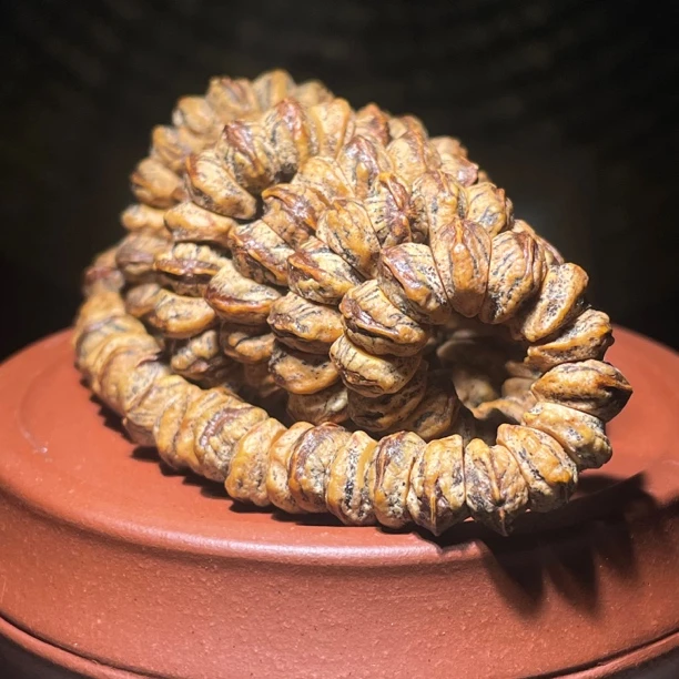 纯热大红芽大肠长串108果仁大油性超好