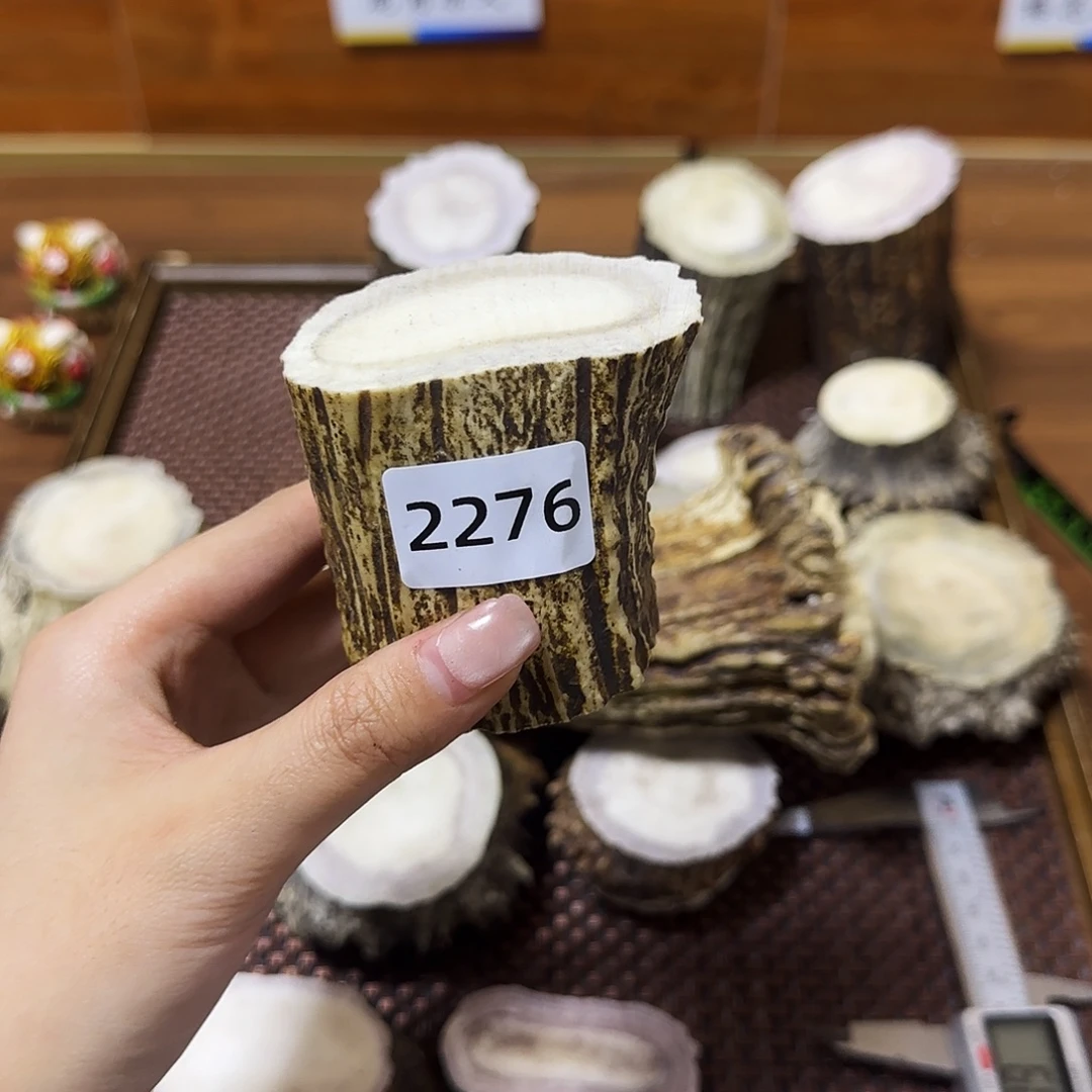 鹿骨手串/手链根段2276