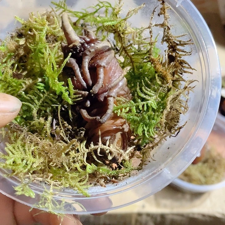 来咯哦哦哦哦找我