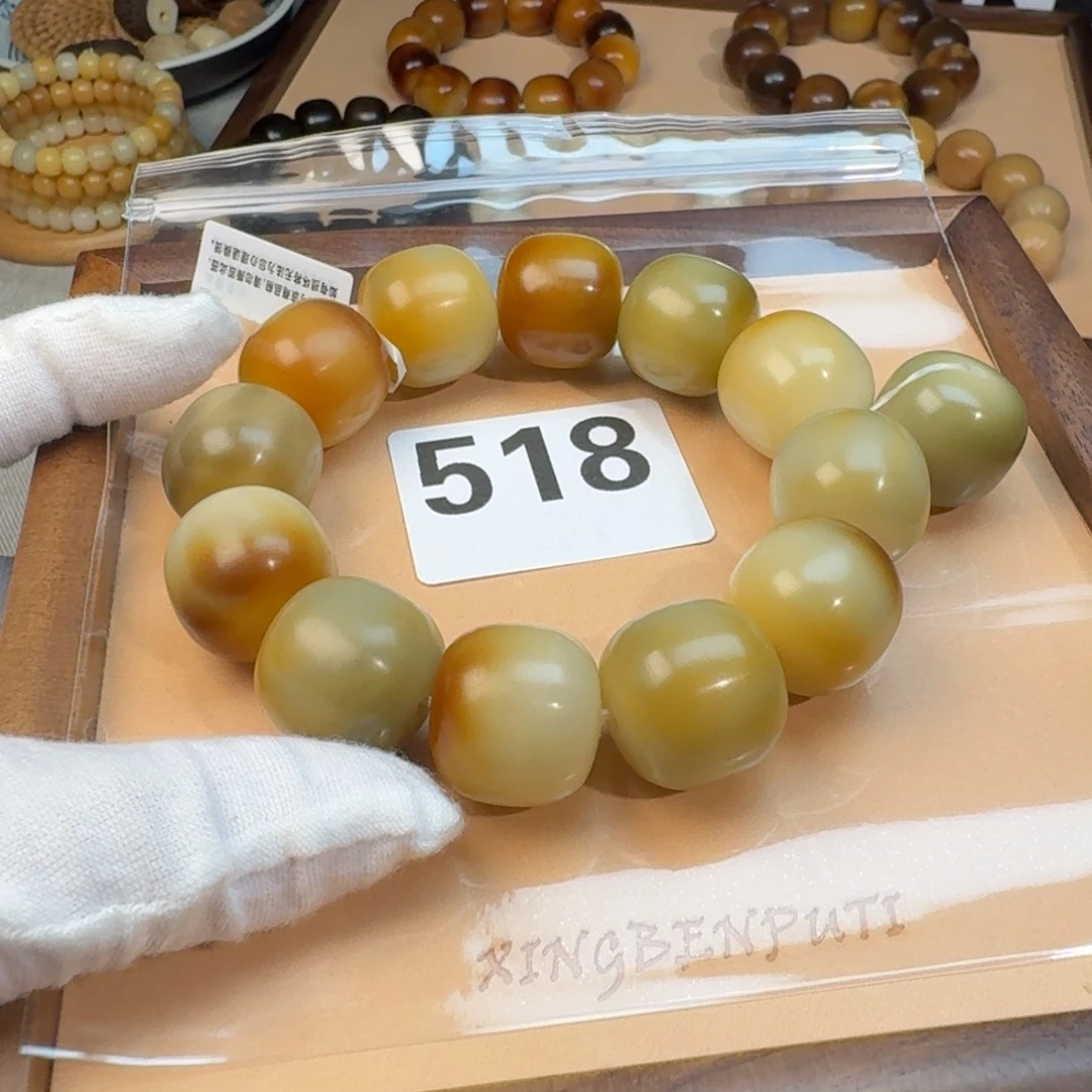 梦***梦吊坠菩提根/象牙果近全20