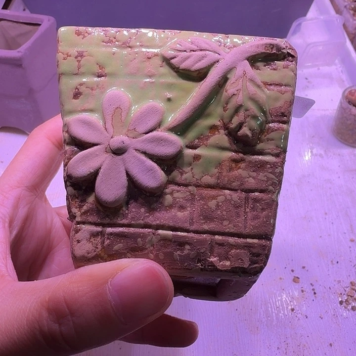 盆30，花朵方盆，闲置处理不介意的拍！