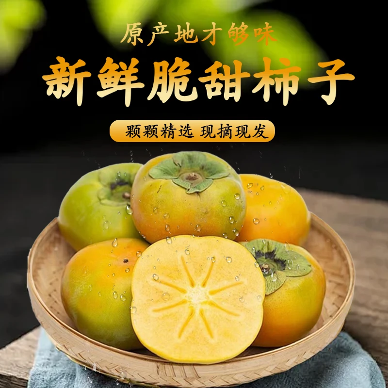 【运城脆甜柿子】正宗运城脆甜柿子无核当季新鲜水果多汁不涩新鲜