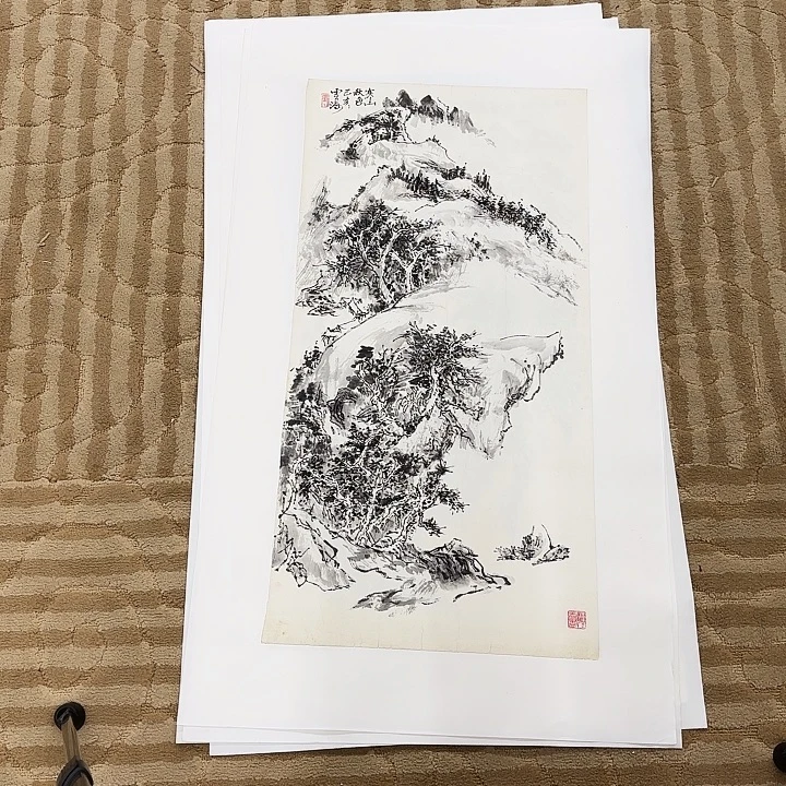 国画花鸟等多种鸟类的栖息地和