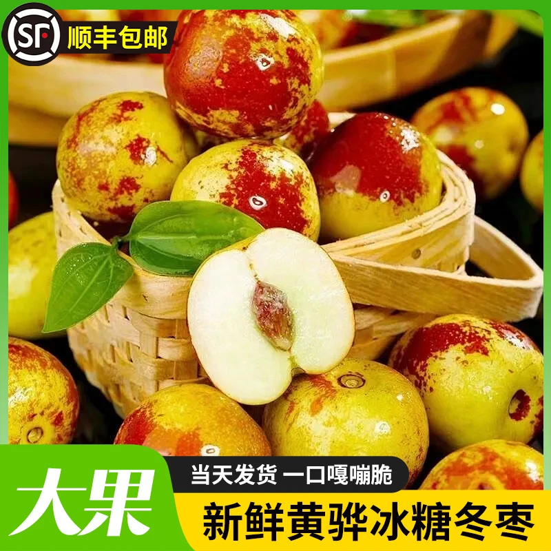 黄骅鲜冬枣【5斤大果】原产地发货 现摘现发