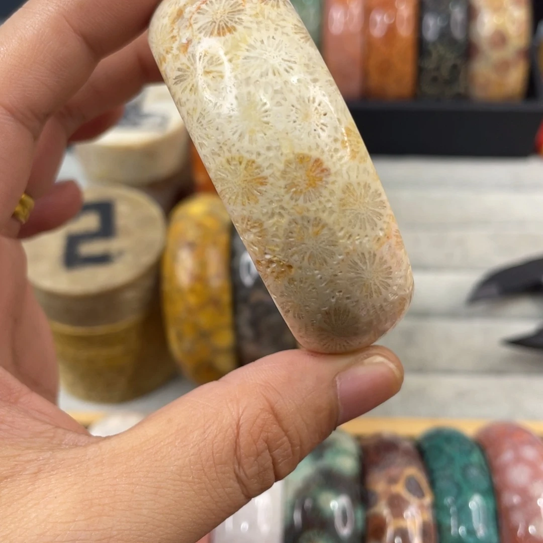 未镶嵌手镯硅化玉
