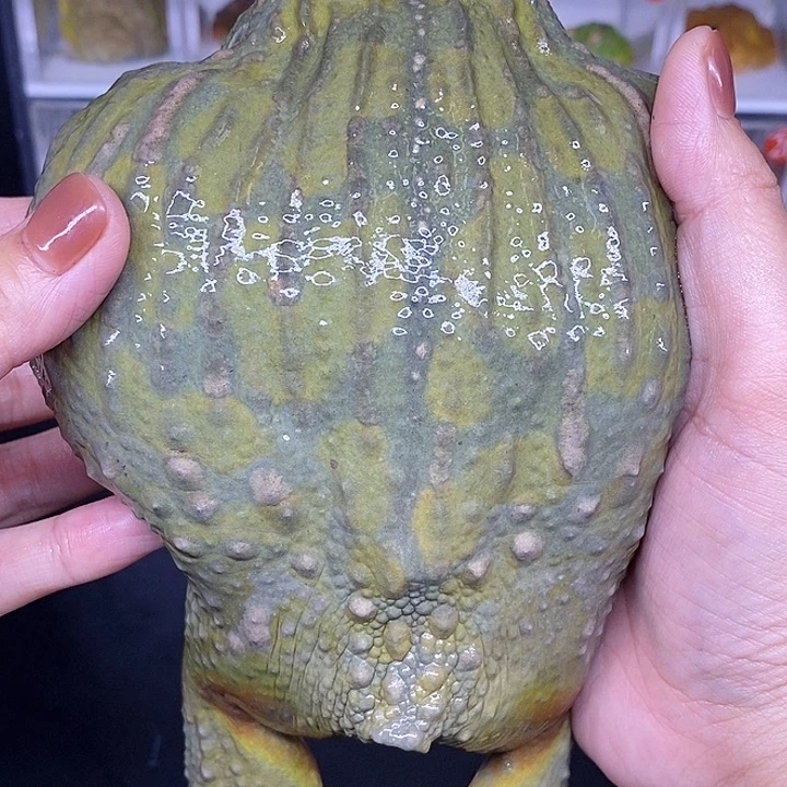特价秒杀现货特价