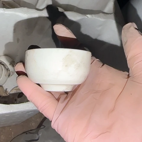 瓷片国营厂库存微瑕6个椭圆