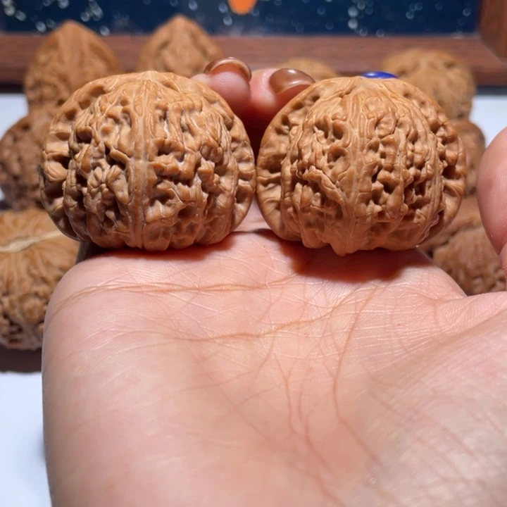 手串/手链核桃41白狮子