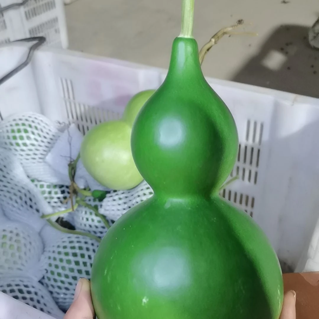 晓***月木葫芦摆件家庭摆件