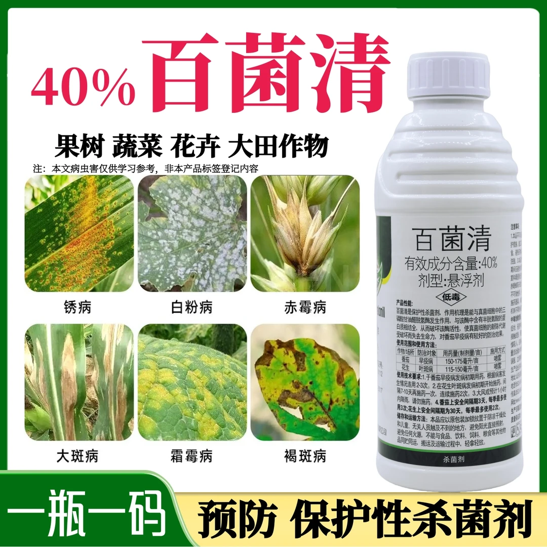 百菌清保护性杀菌剂防治叶斑病霜霉病白粉病蔬菜花卉多肉通用农药