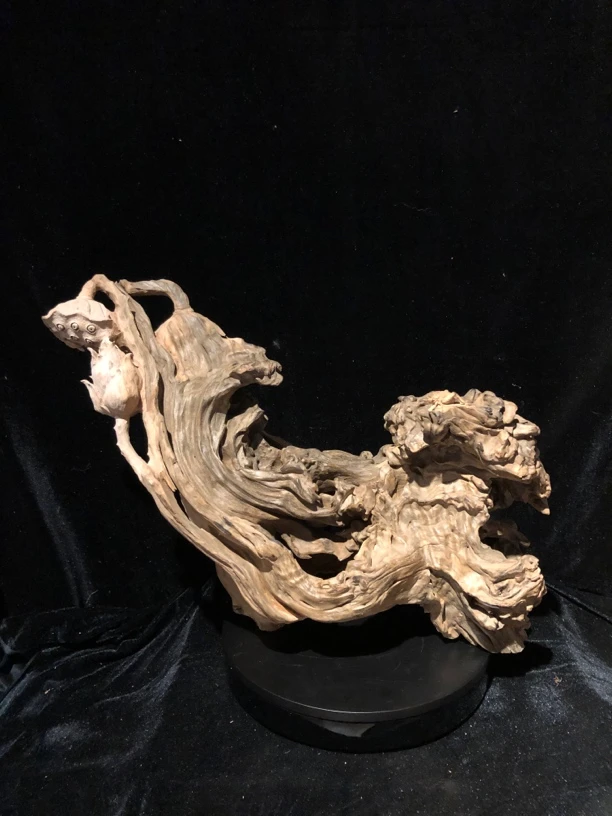 枯木脱骨料自然根艺