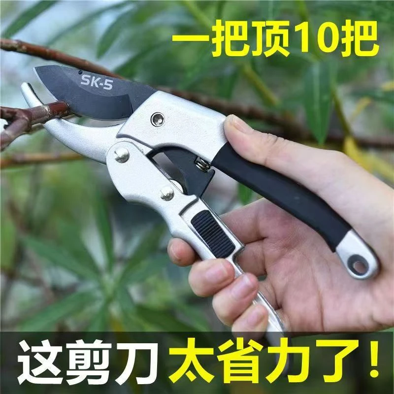 园艺剪刀树枝修剪修枝剪摘花椒神器摘果神器果树修剪刀粗枝剪摘枣