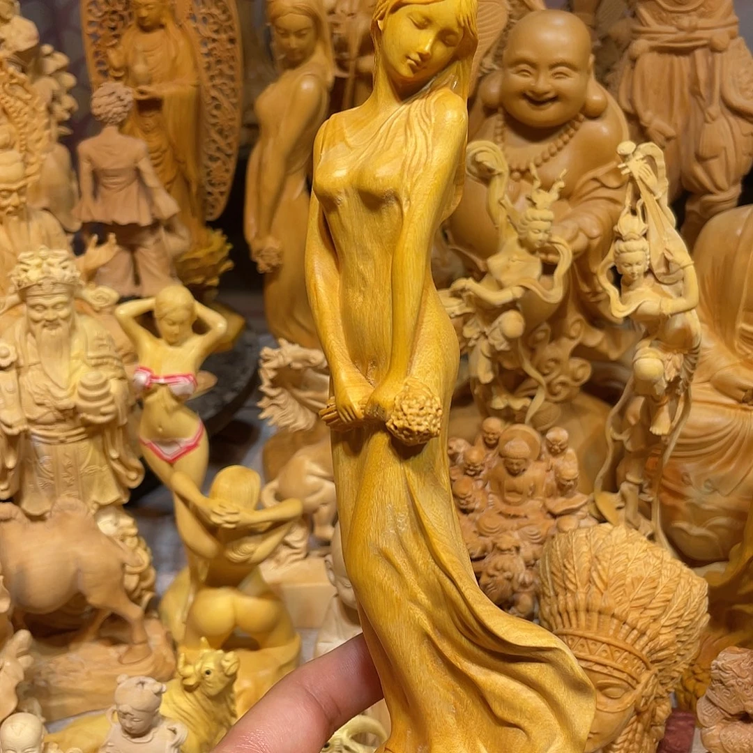 黄杨木小叶初春美少女