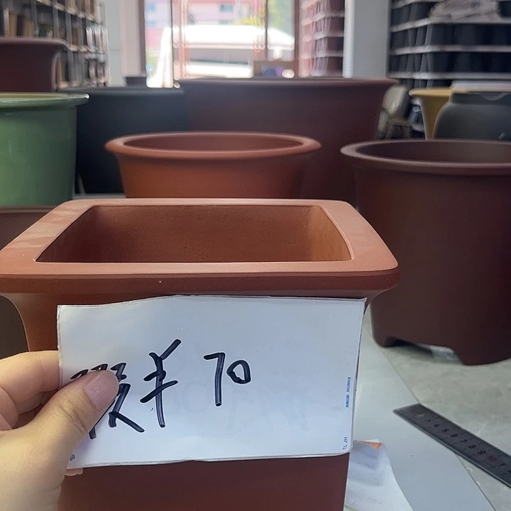 渴***空紫砂花盆紫砂88888865865586688688