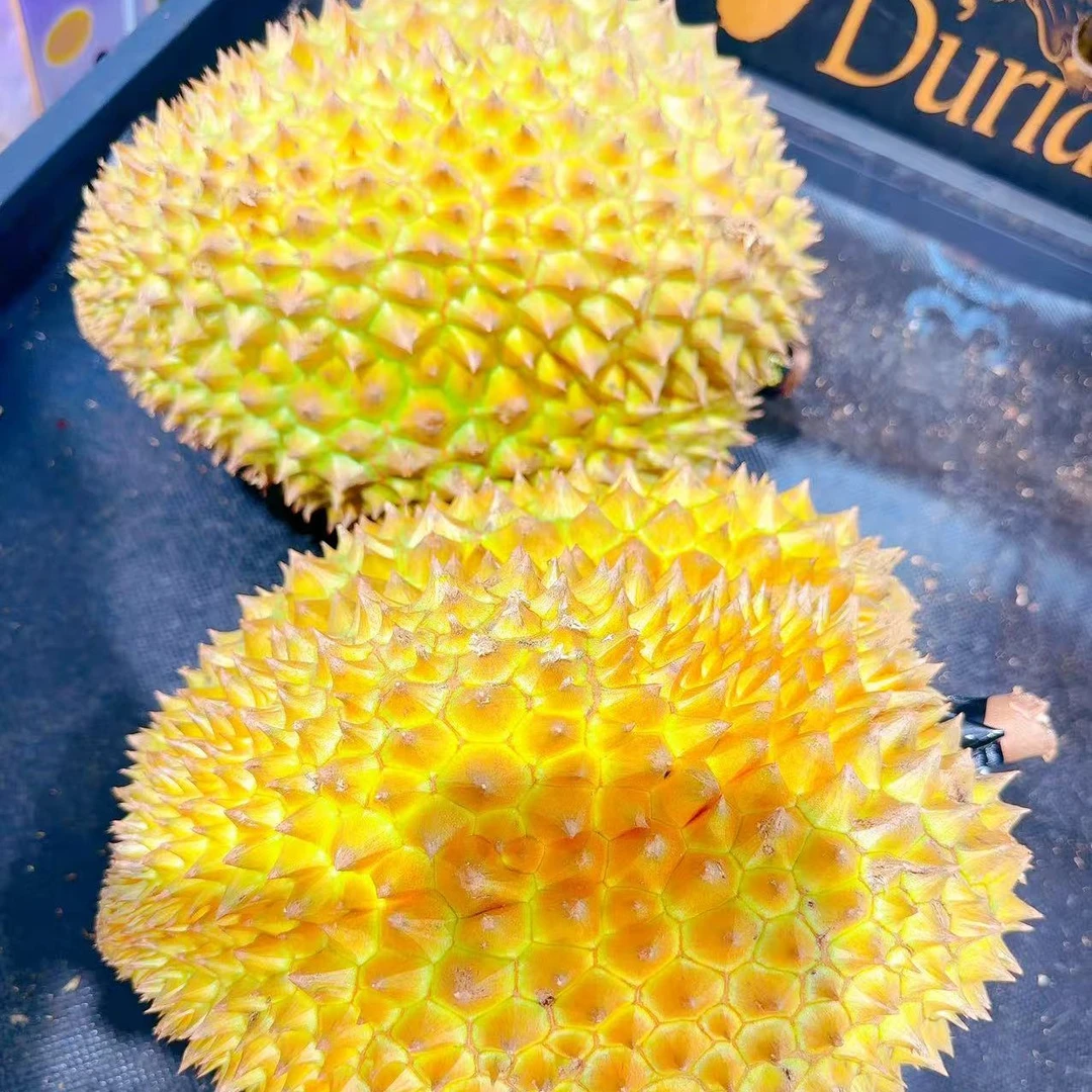小时达（AA级金枕鲜榴莲）500克核小鲜榴莲榴莲同城送金枕泰国