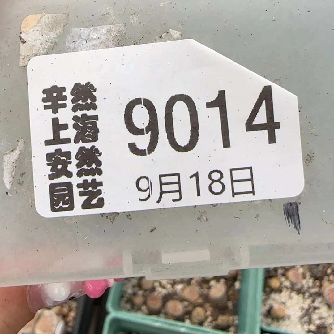 星****9.18。  星星专拍。  9014