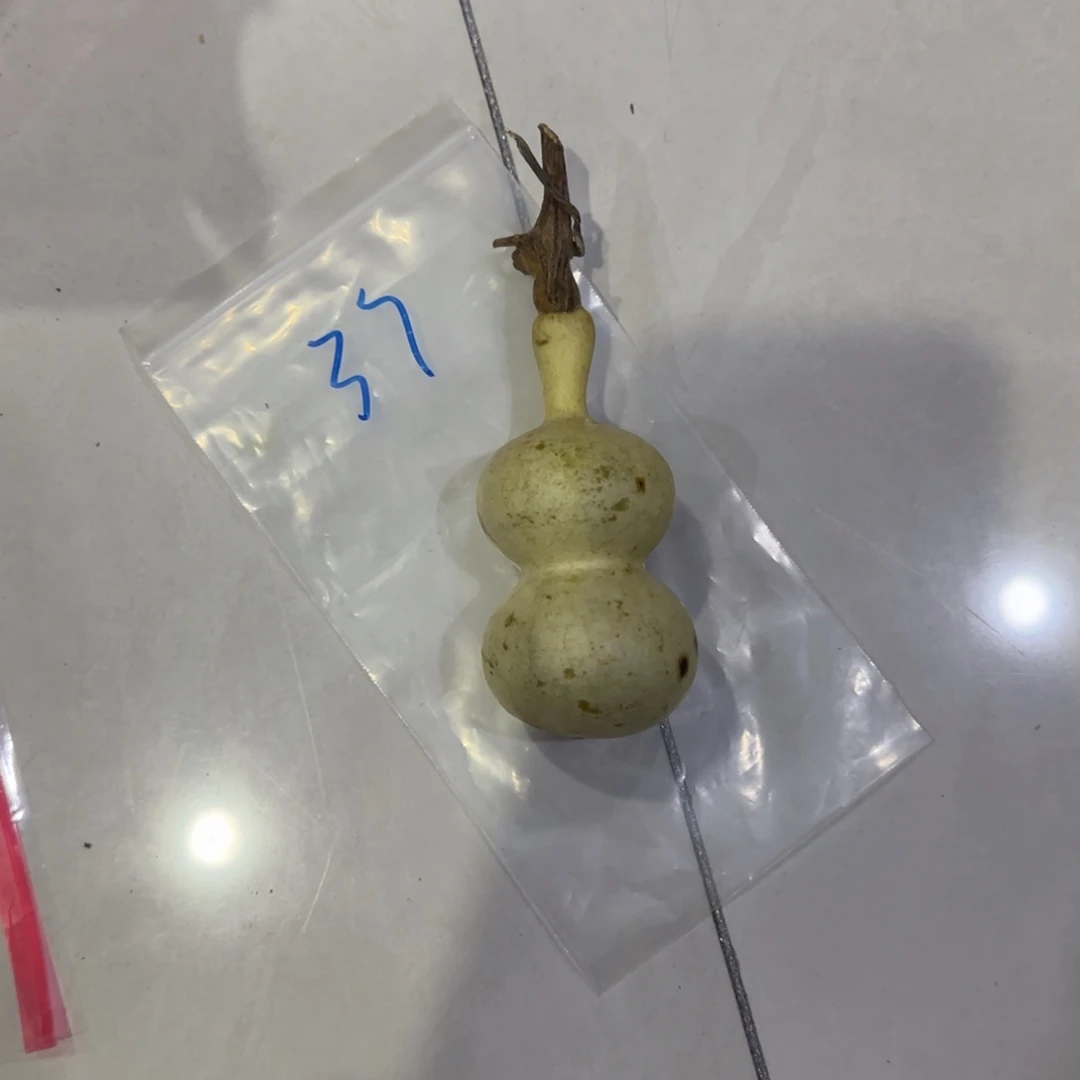 乒***迷青皮不包成青皮不包成