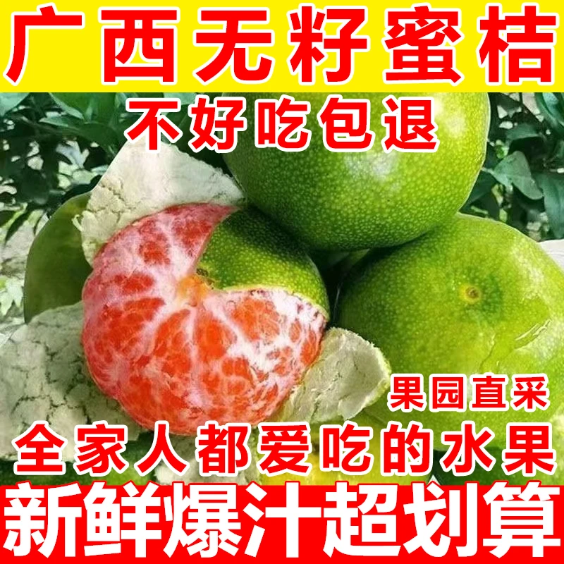 包邮早柑广西青皮蜜桔水果新鲜皮薄酸甜青皮桔子青桔橘子当季整箱