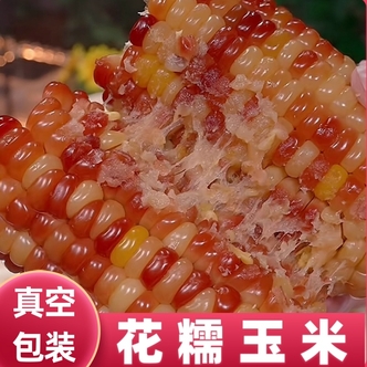 【试吃4根共14根花糯】花糯玉米软糯粗粮真空包装玉米5.6斤