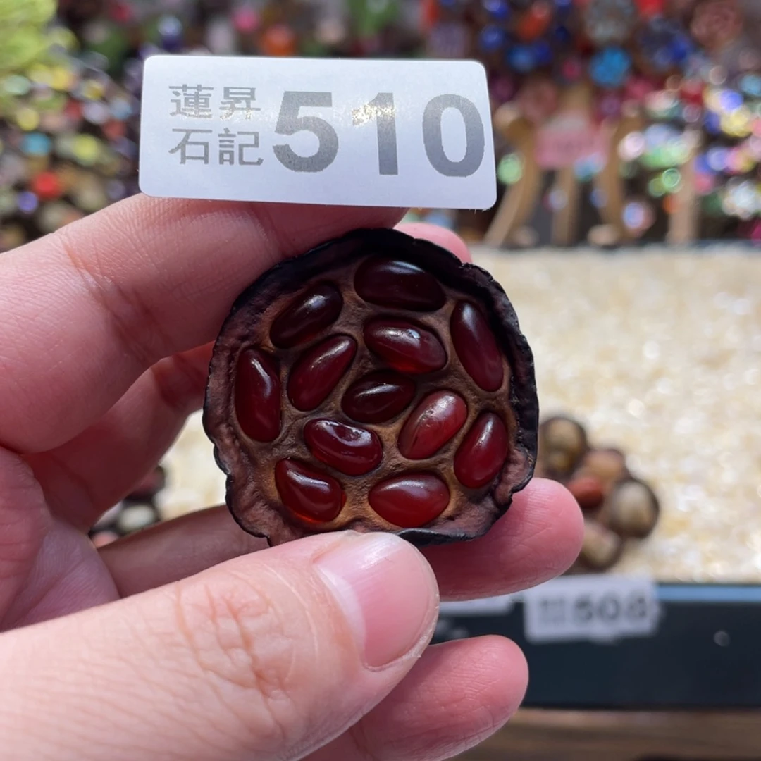 核桃木/黑胡桃（胡桃木）510