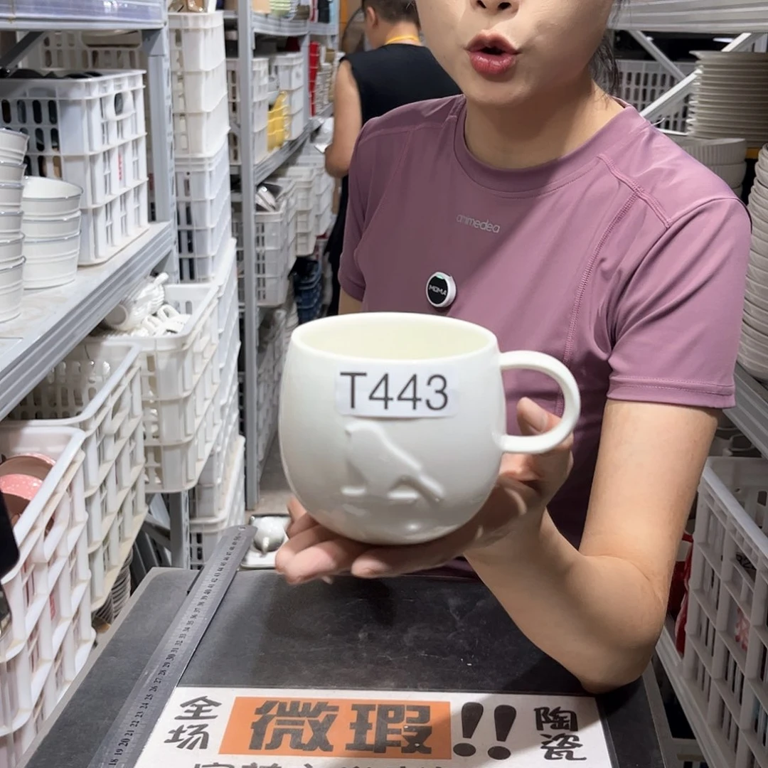瓷片443              4个