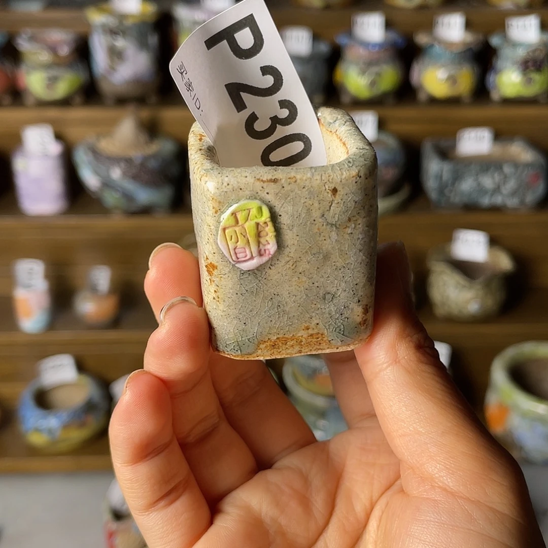 小白孤品 匣钵土 内口2.5左右 百搭