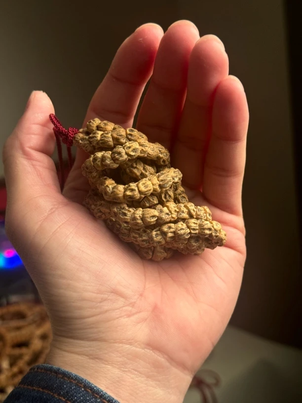 热振柏香籽满鬼大肠108