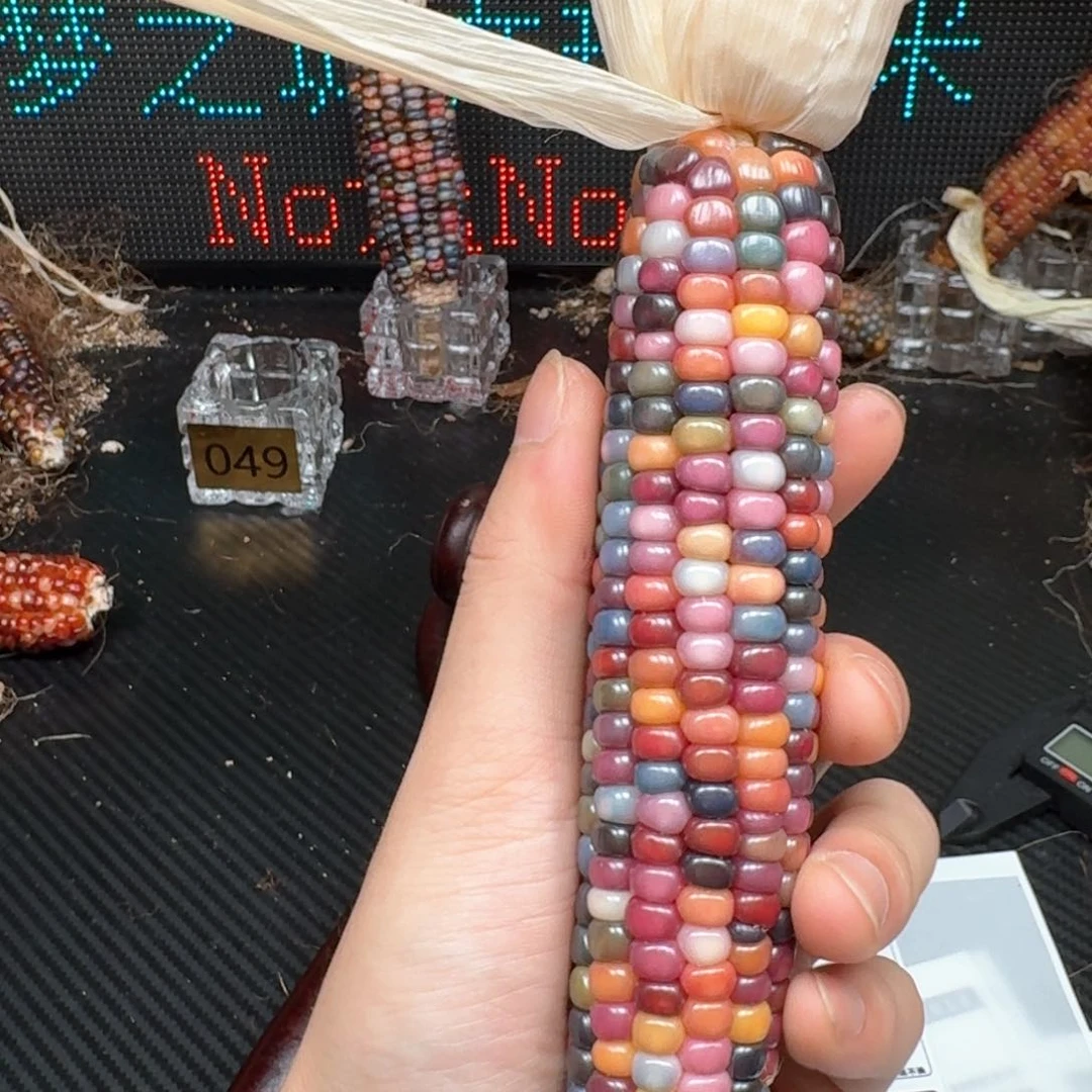 柏香籽/百香籽吊坠我****s