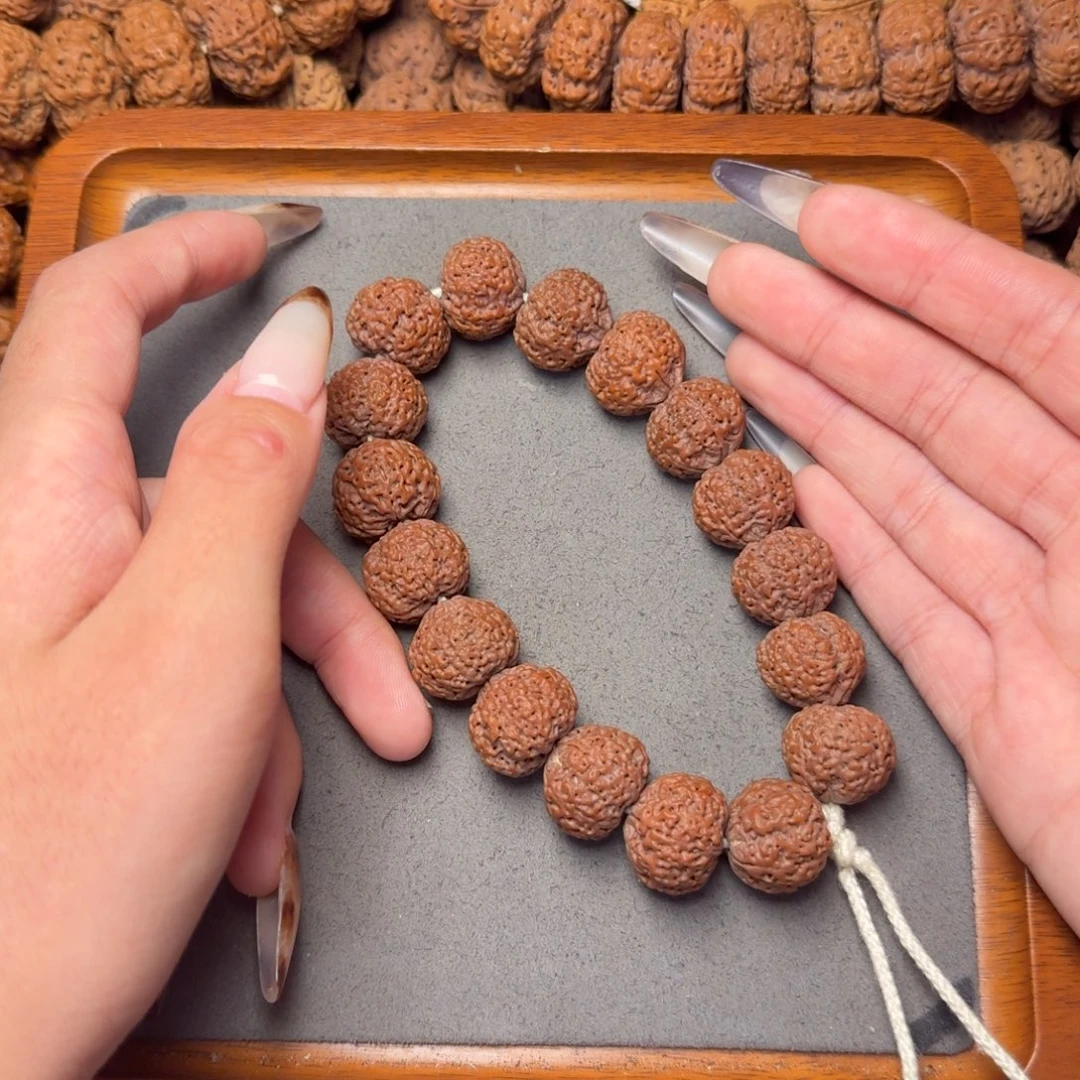 4号尼泊尔大金刚17.5-18五星蜂王菠萝蜜