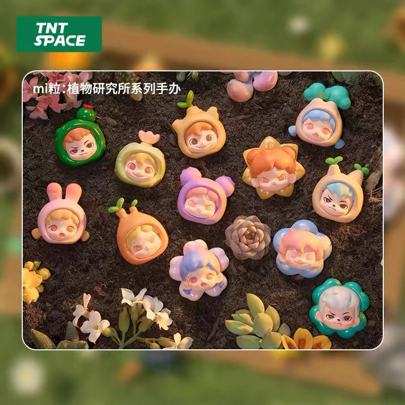 【KK拆盒】TNT植物研究所mi粒2代盲盒