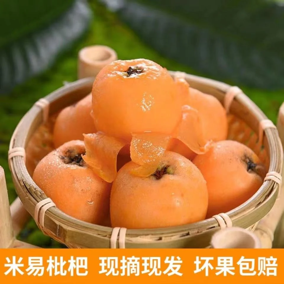 四川米易五星枇杷软糯香甜爆汁当季新鲜采摘自然成熟孕妇3/5/8斤