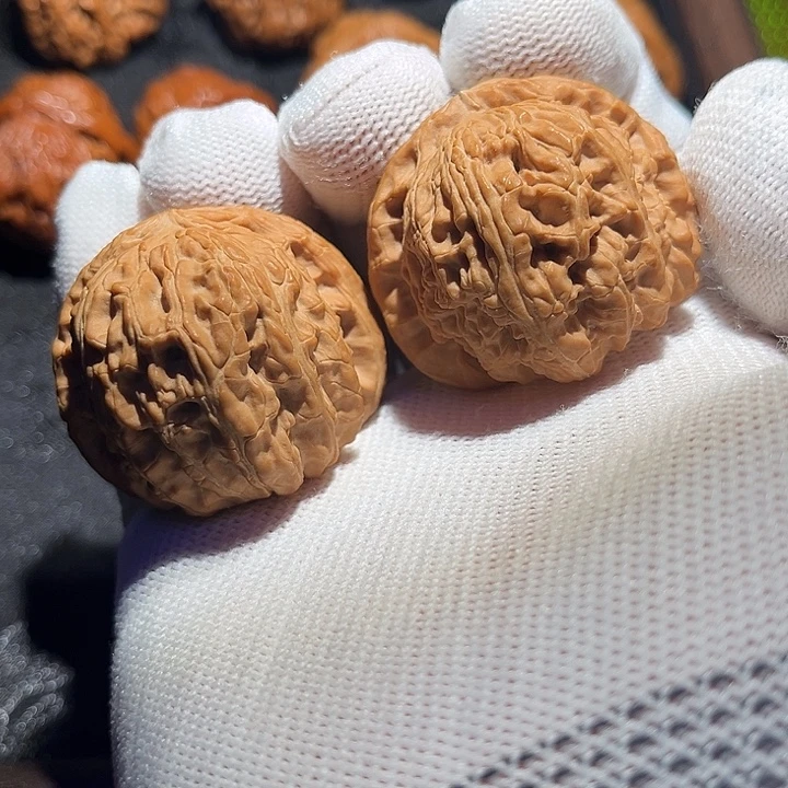 把件文玩核桃白狮子39