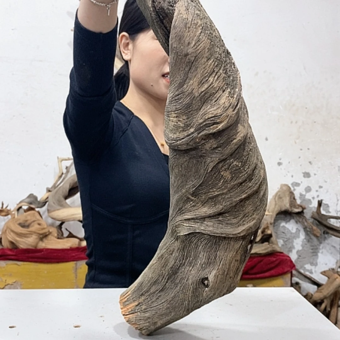 【闪购商品】柏木秋**雕我们都是好孩子啊