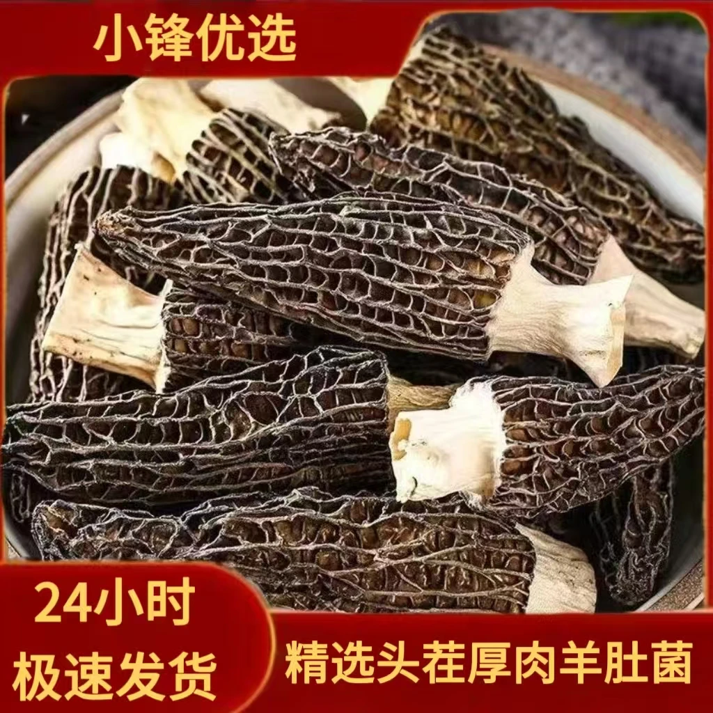 【爆款】 A1优质头茬厚肉羊肚菌