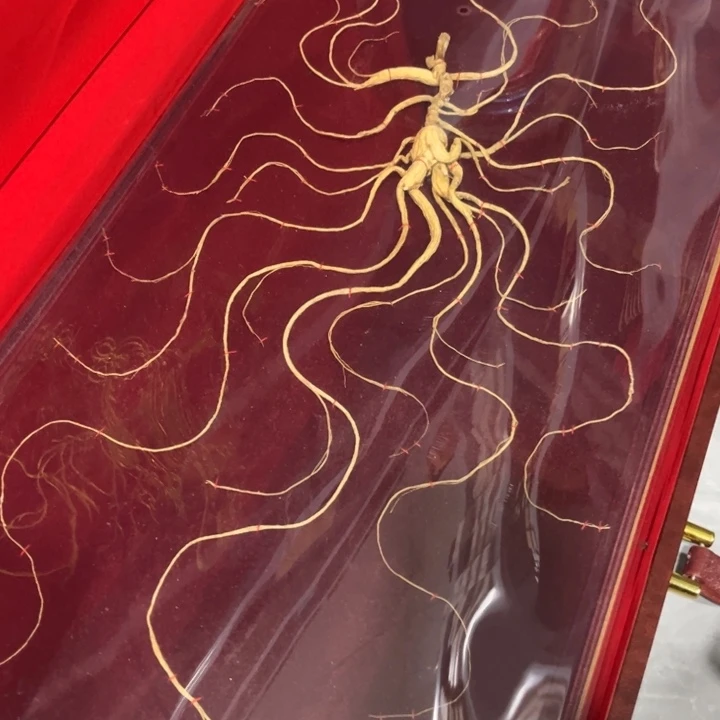 绿泥____________________________