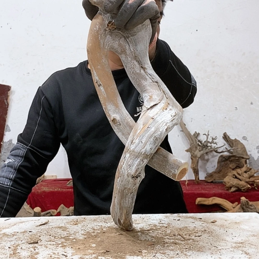 【闪购商品】柏木用****0我们都是好孩子