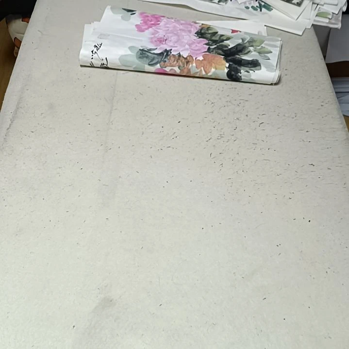 国画忝****禹国画花鸟花鸟国画